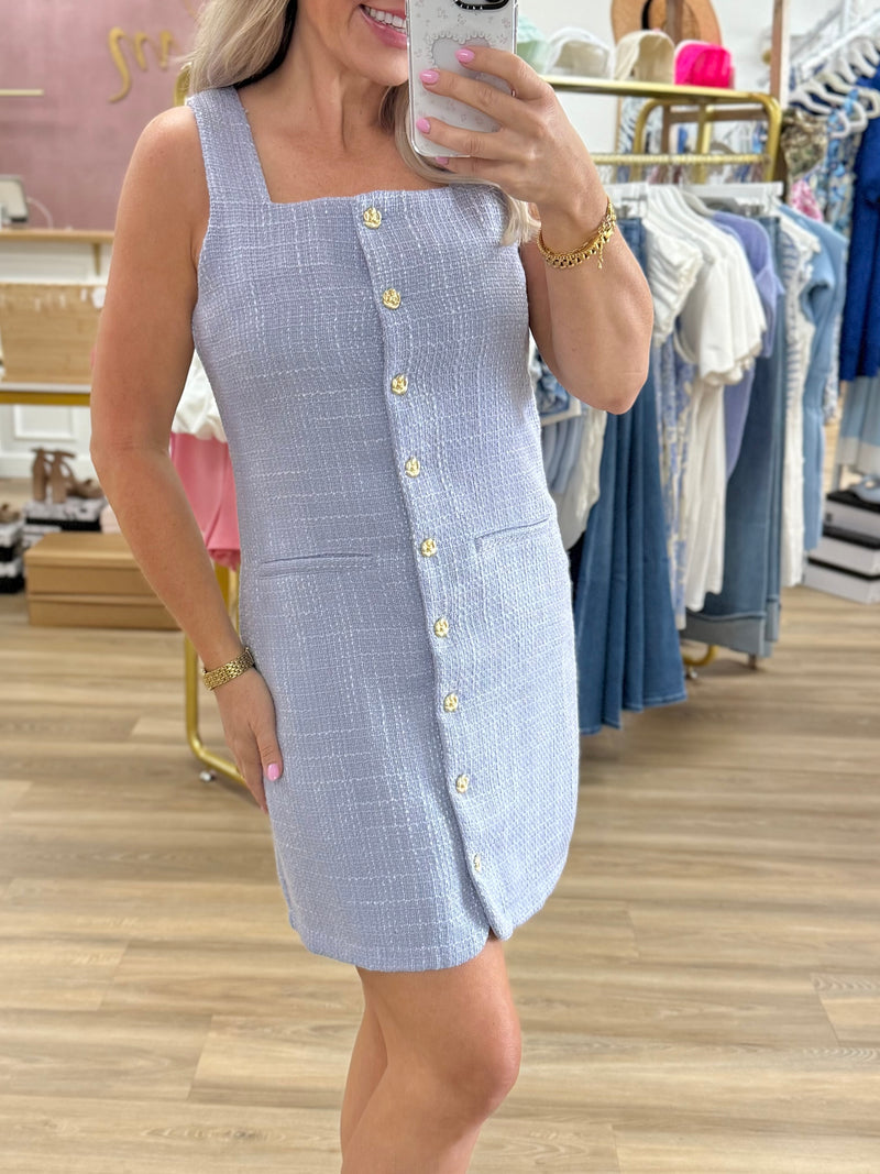 Periwinkle Button Front Dress