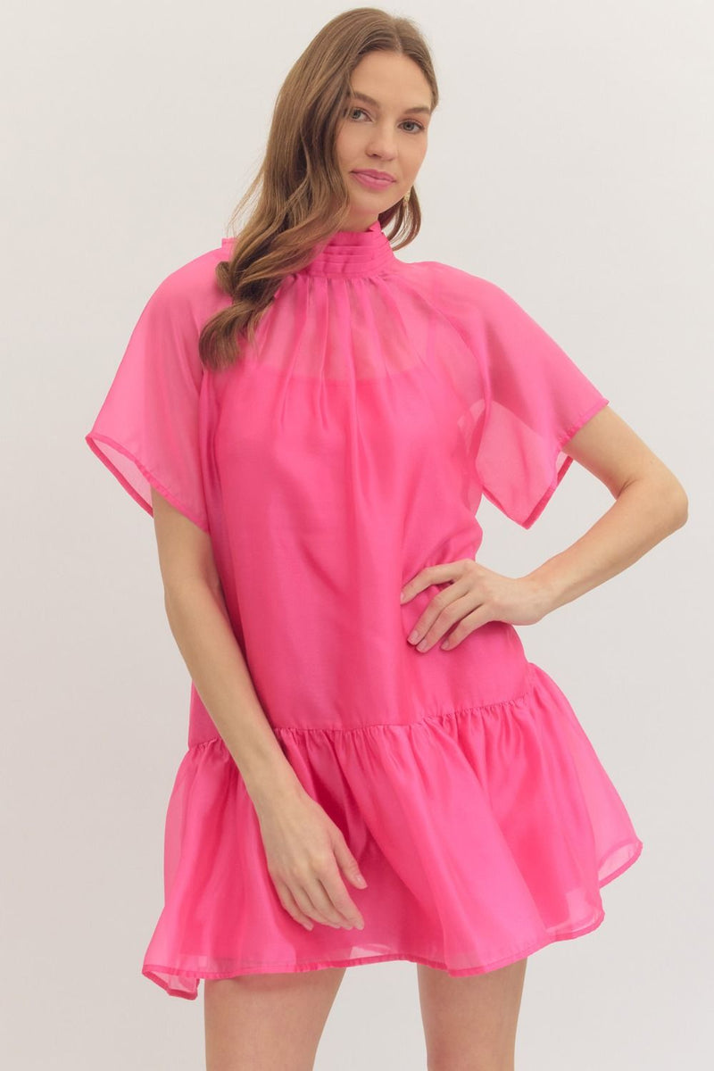 pink sheer ruffle dress Celeste Ruffle Sheer Dress Large